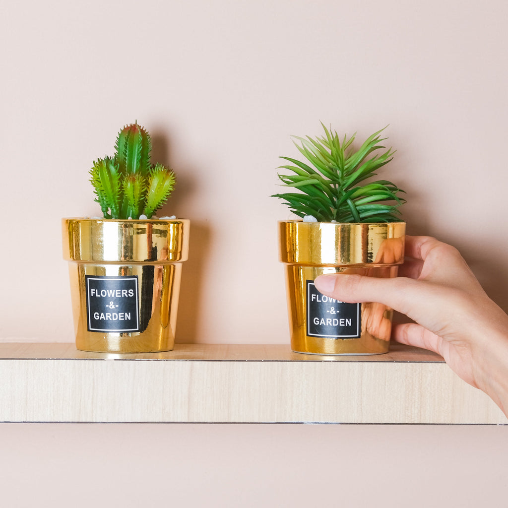 Faux Succulent Pot Nestasia