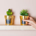 Faux Succulent Pot Nestasia