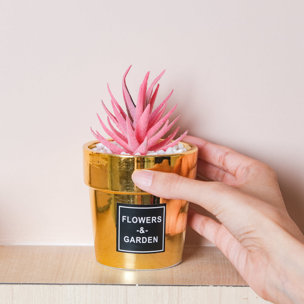 Faux Succulent Pot Nestasia