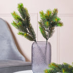 Pine Leaves Nestasia