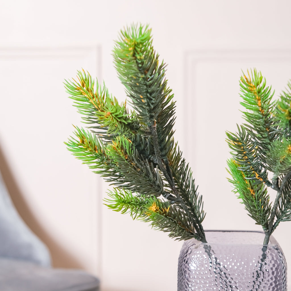 Pine Leaves Nestasia