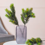 Pine Leaves Nestasia