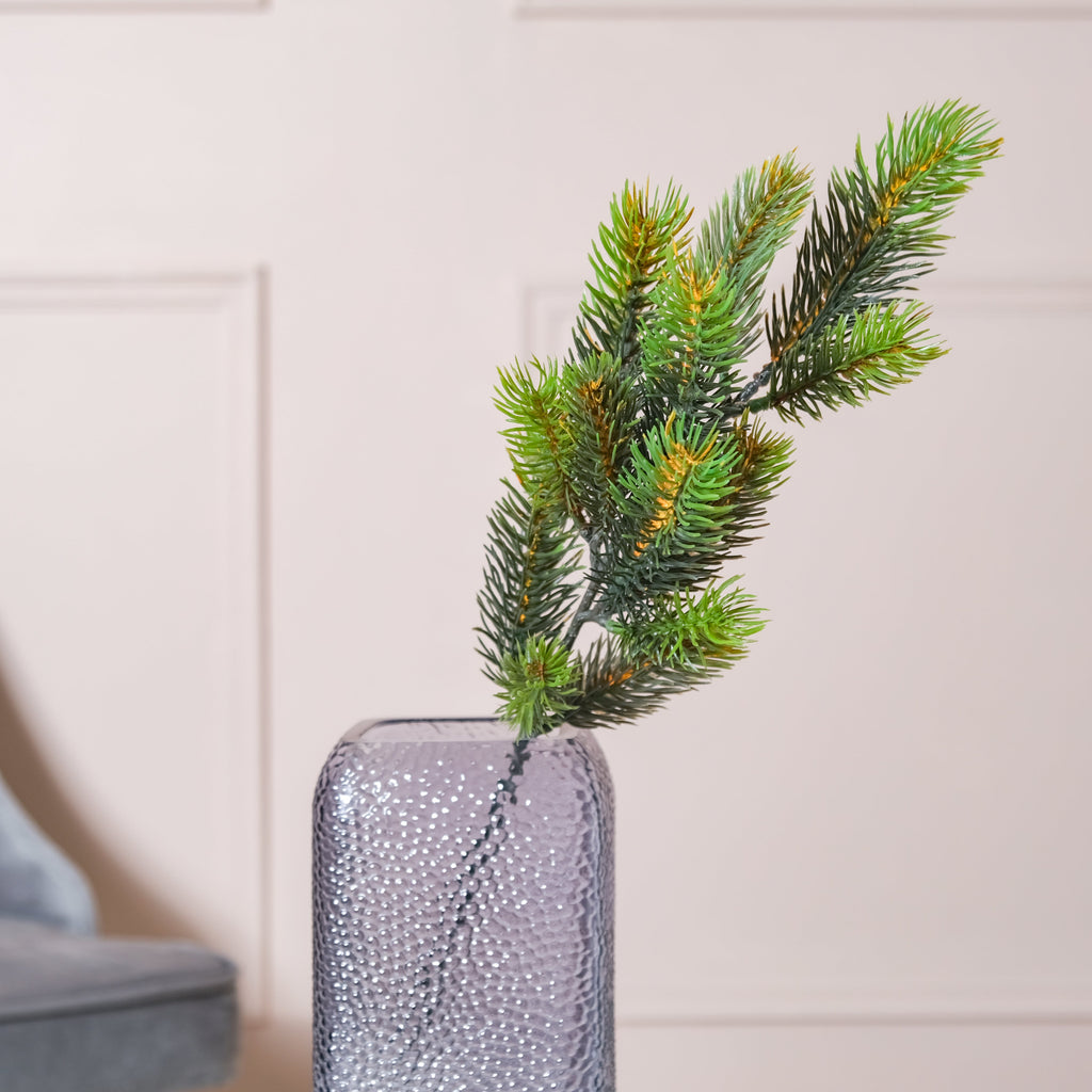 Pine Leaves Nestasia