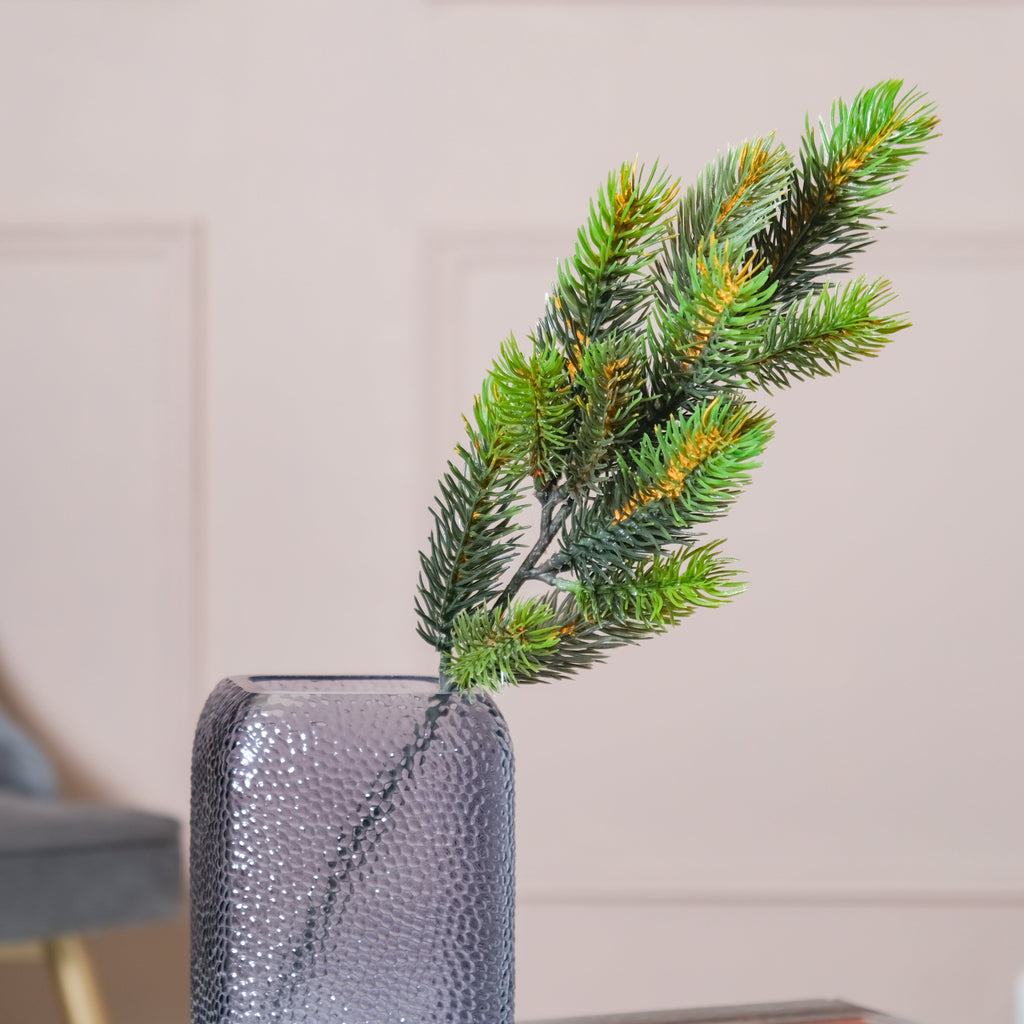 Pine Leaves Nestasia