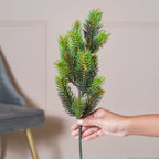 Pine Leaves Nestasia