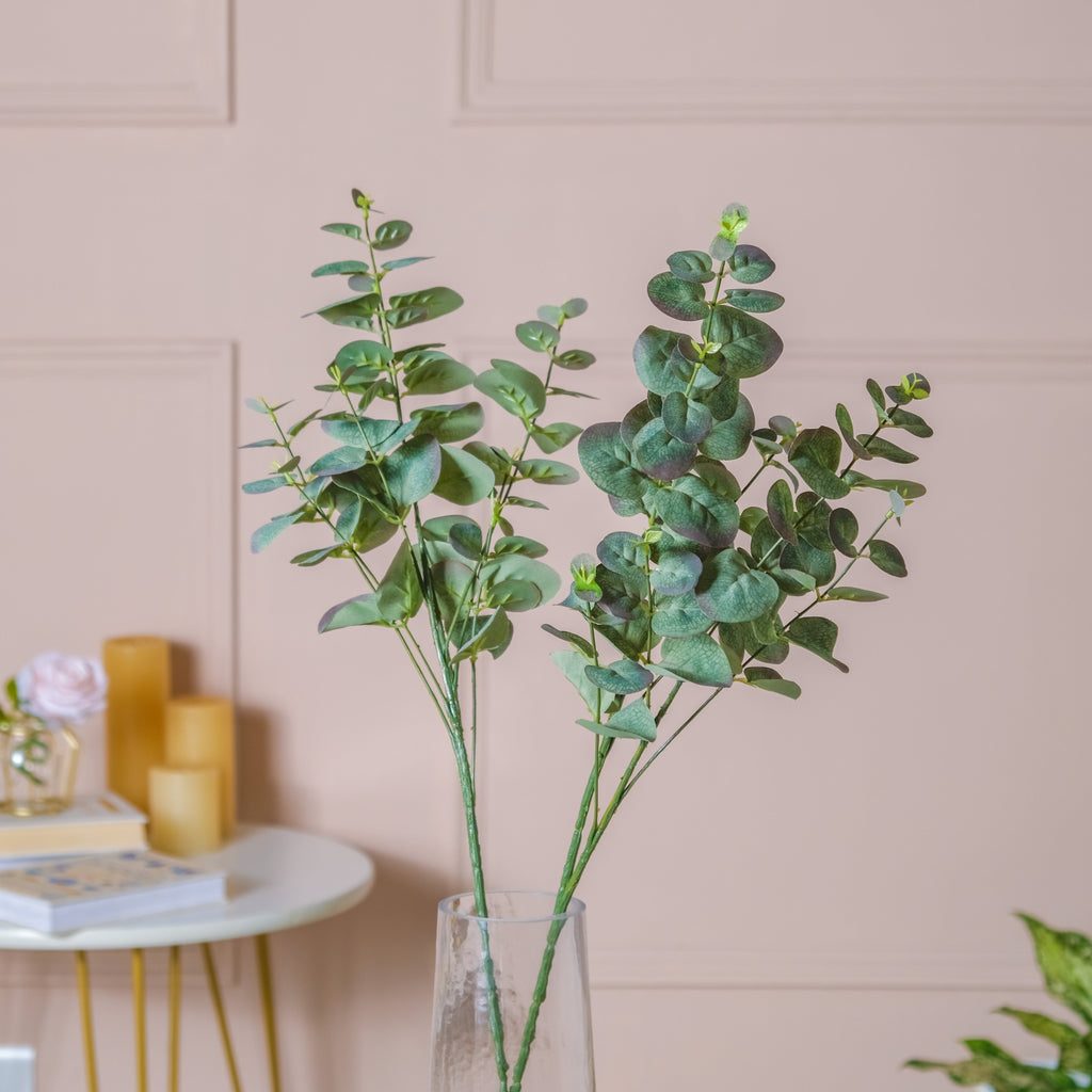 Eucalyptus Leaf Stem Nestasia