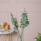 Eucalyptus Leaf Stem Nestasia