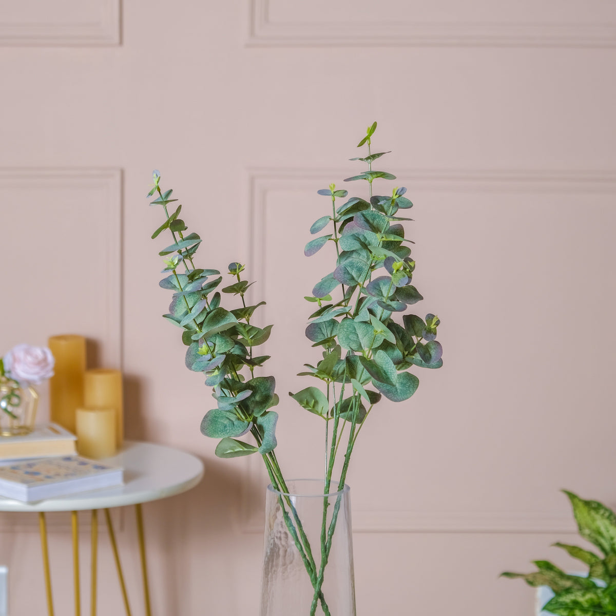 Eucalyptus Leaf Stem Nestasia