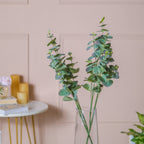 Eucalyptus Leaf Stem Nestasia