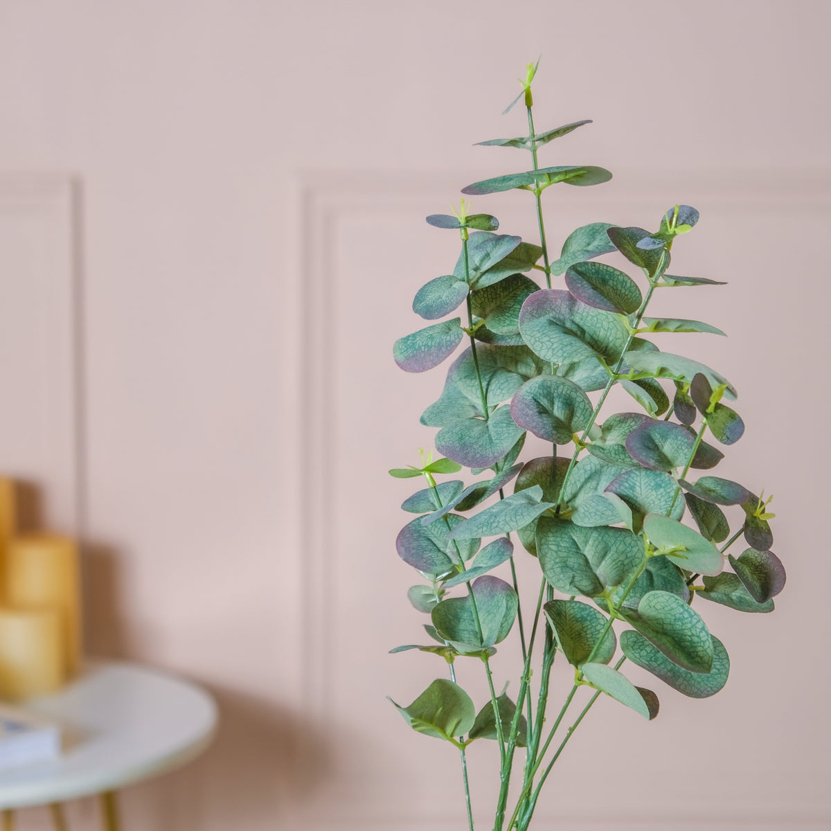 Eucalyptus Leaf Stem Nestasia