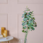 Eucalyptus Leaf Stem Nestasia