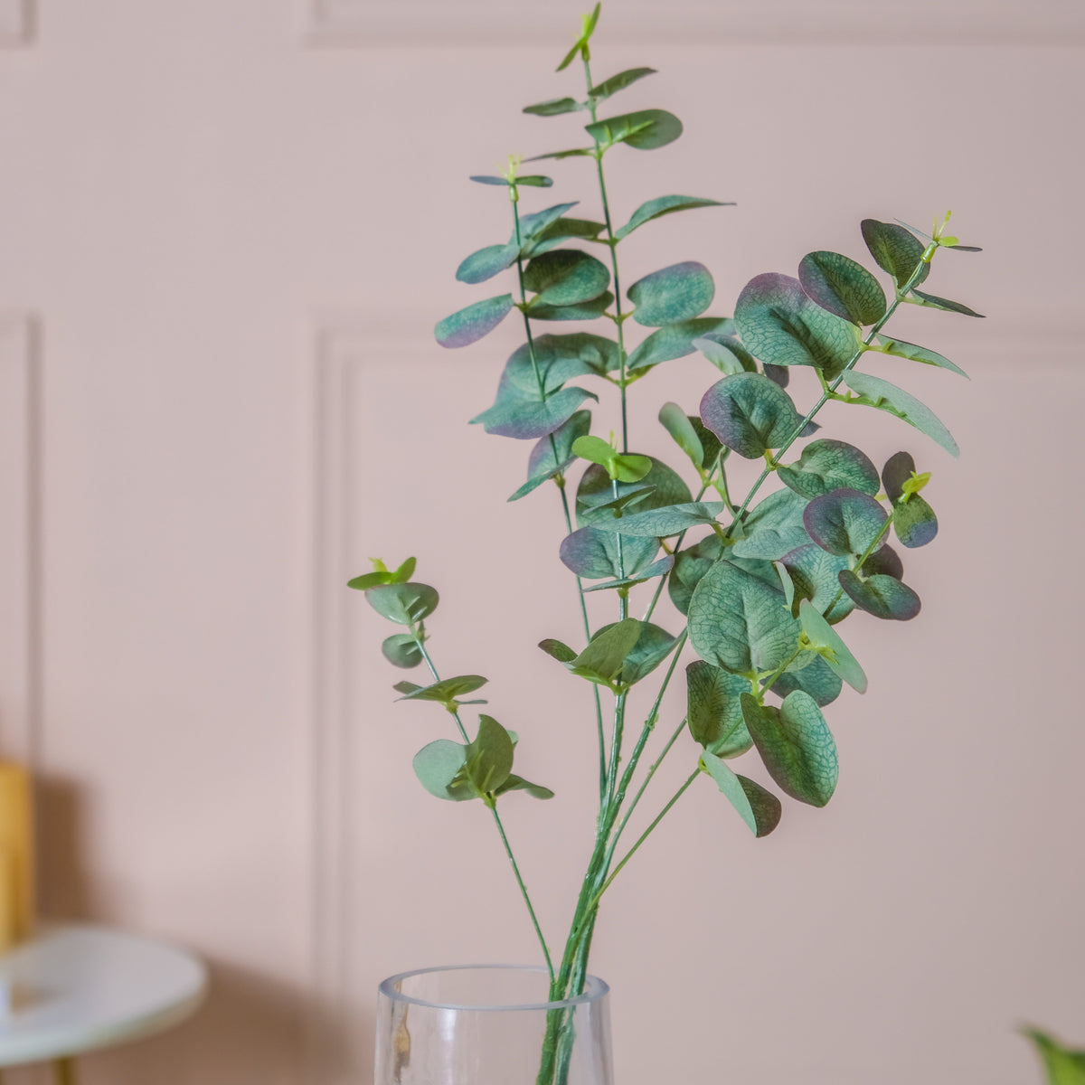Eucalyptus Leaf Stem Nestasia
