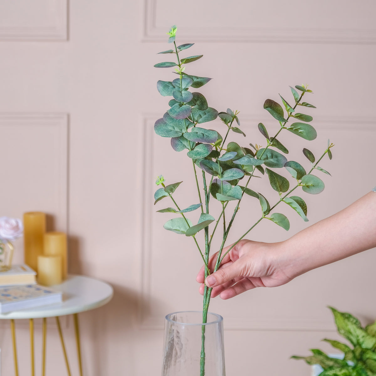 Eucalyptus Leaf Stem Nestasia