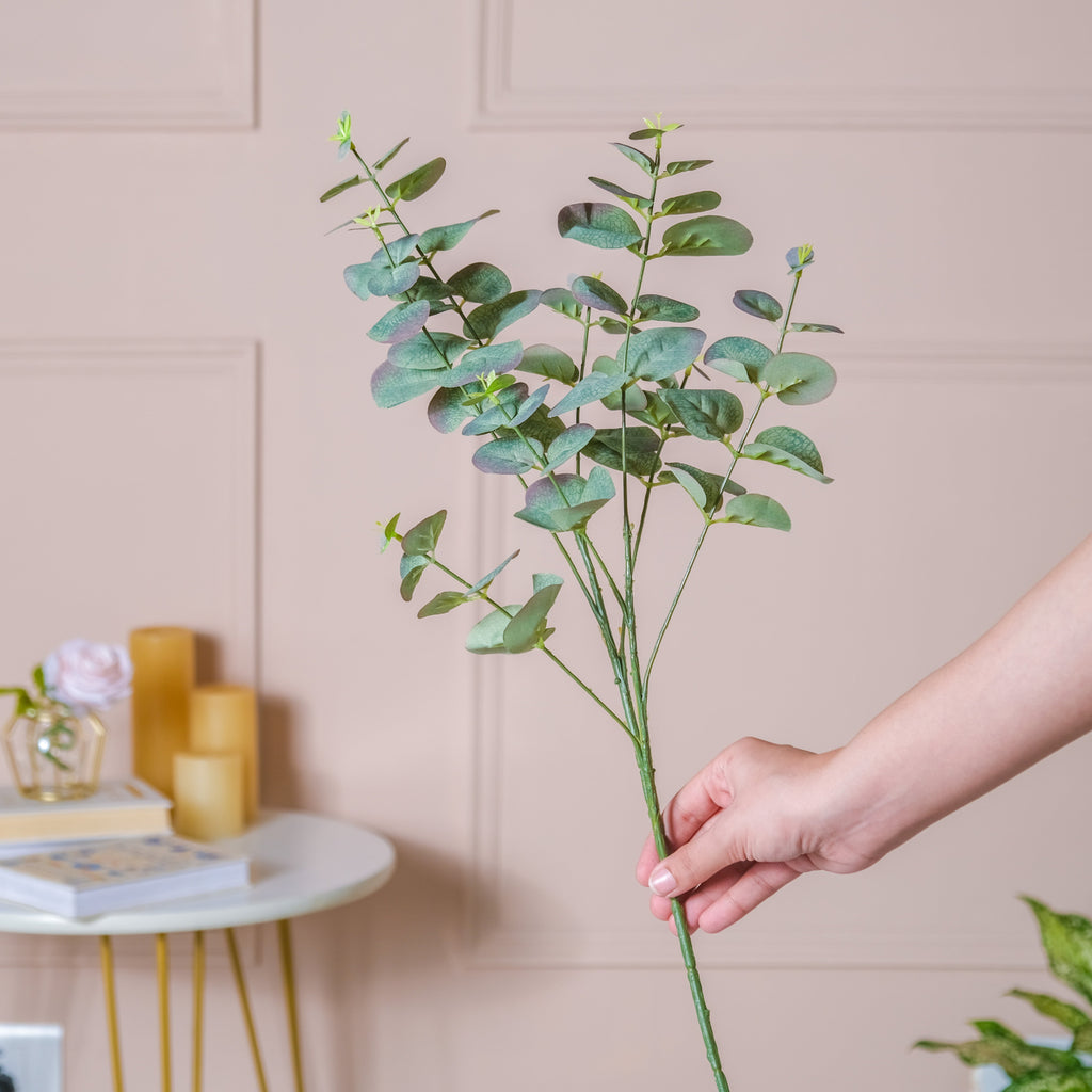 Eucalyptus Leaf Stem Nestasia