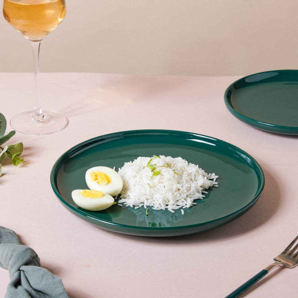 Verdant Round Ceramic Dinner Plate Green 9.5 Inch Nestasia