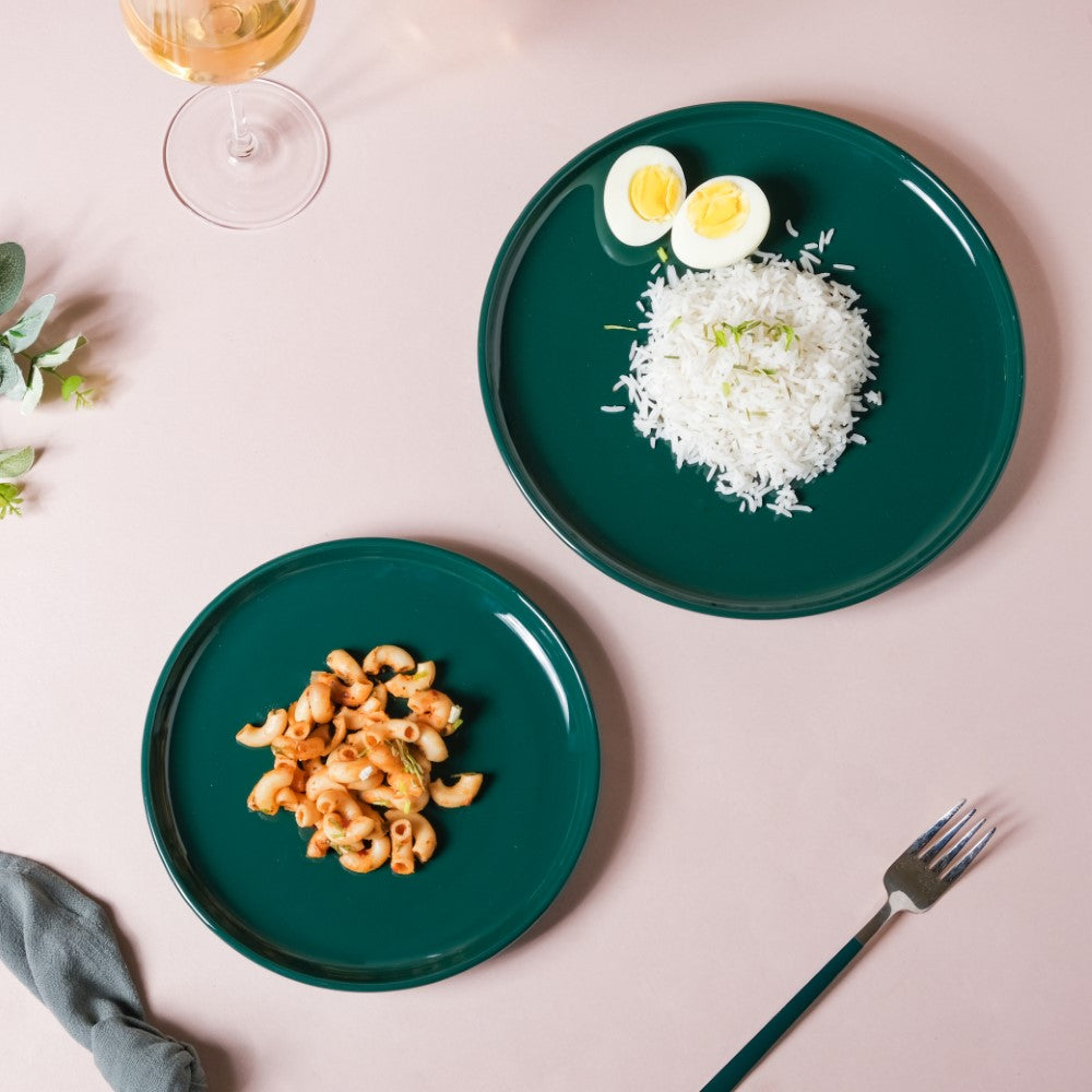 Verdant Round Ceramic Dinner Plate Green 9.5 Inch Nestasia