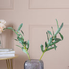 Lush Green Foliage Nestasia
