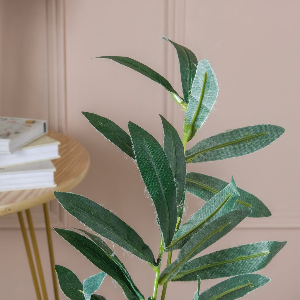 Lush Green Foliage Nestasia
