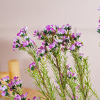 Artificial Flower Stem Nestasia