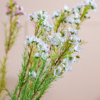 Artificial Flower Stem Nestasia