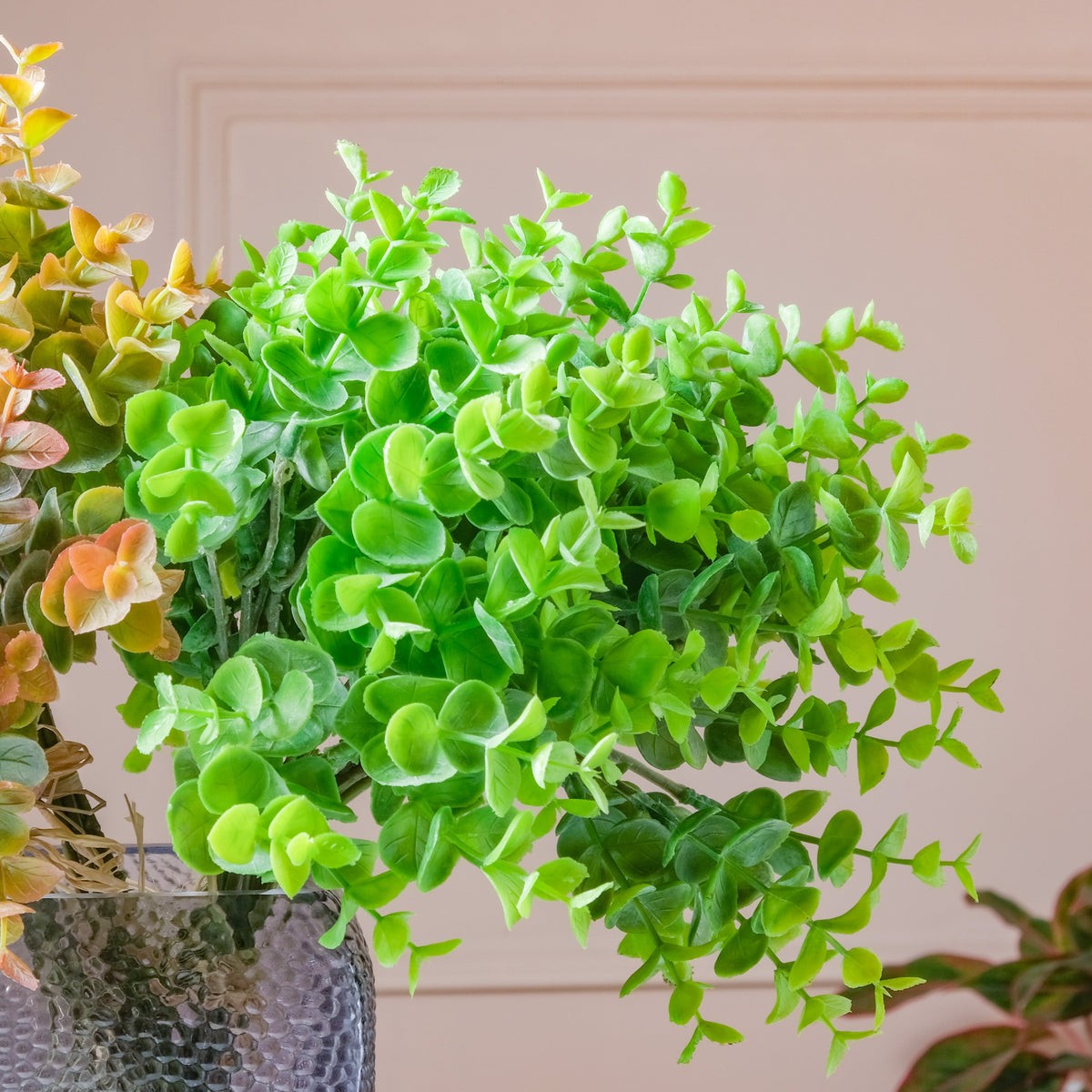 Lush Green Leaves Nestasia