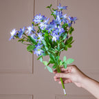 Daisy Flower Stem Nestasia
