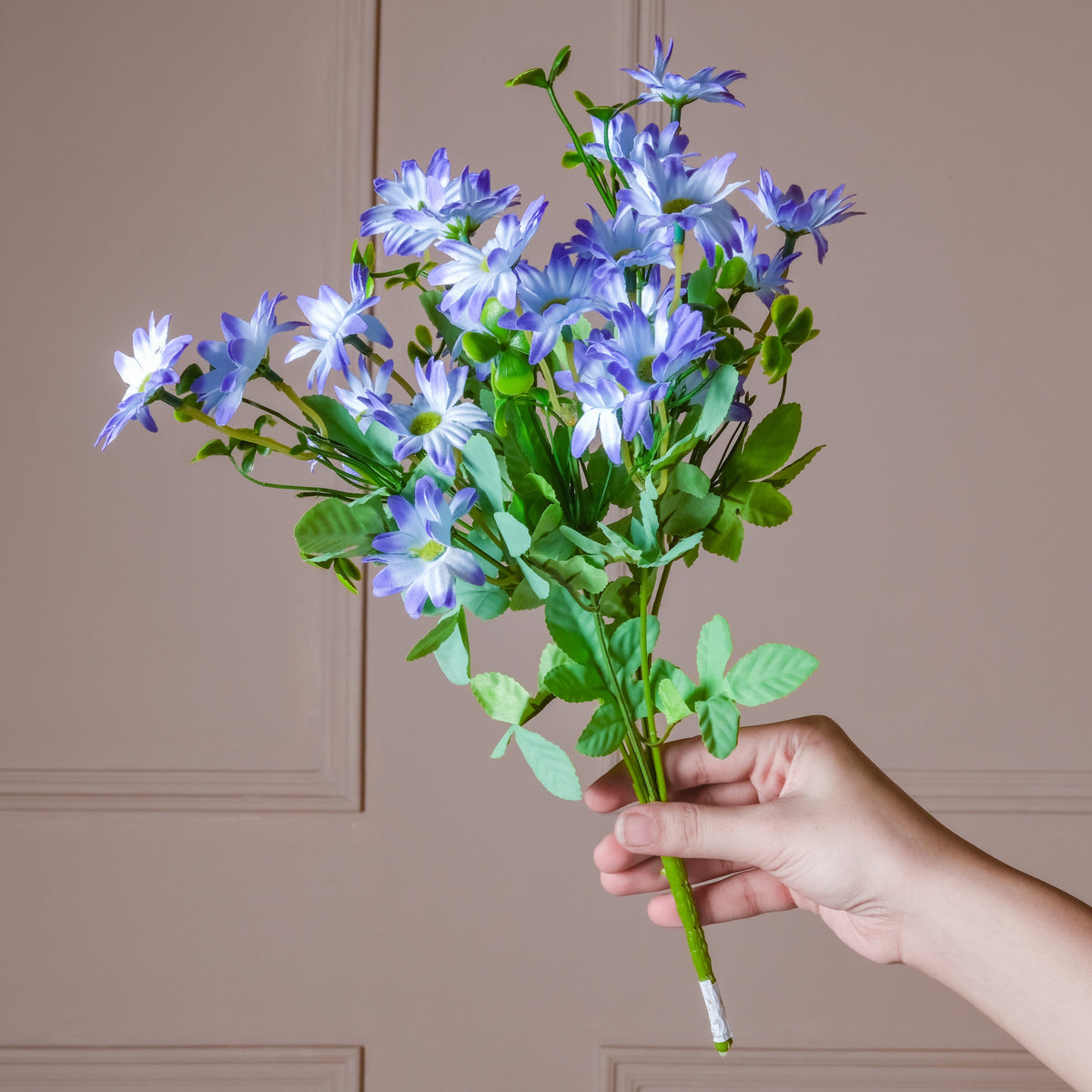 Daisy Flower Stem Nestasia