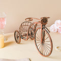 Wine Rack Nestasia