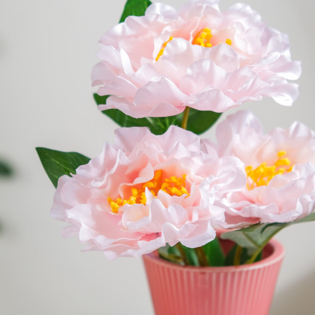 Colorful Peony Stems Nestasia