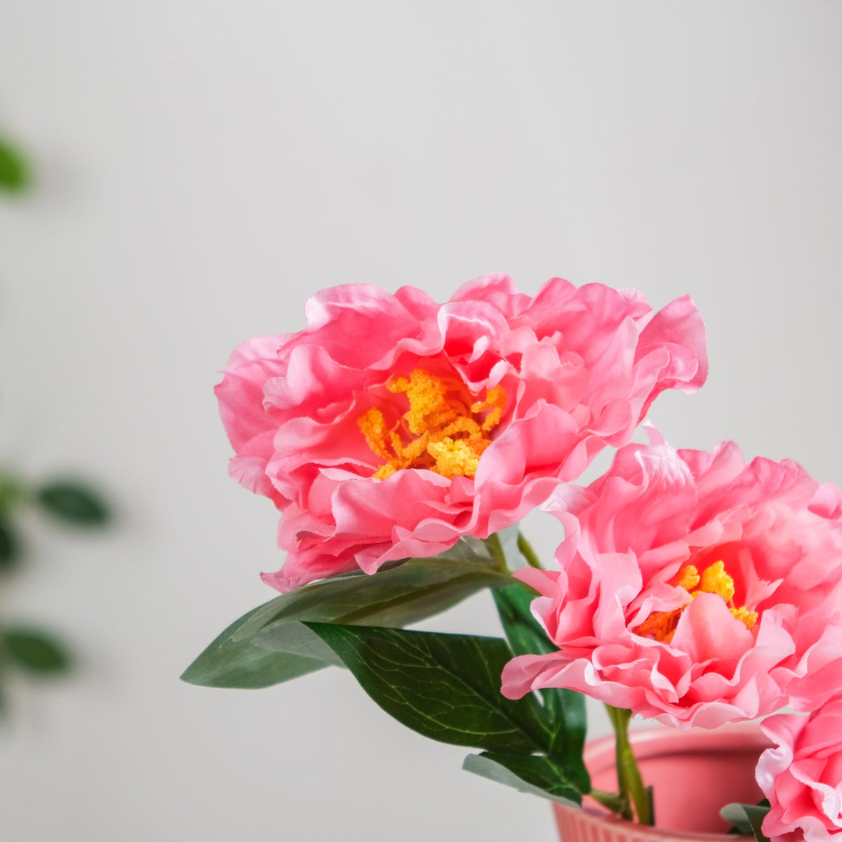 Colorful Peony Stems Nestasia