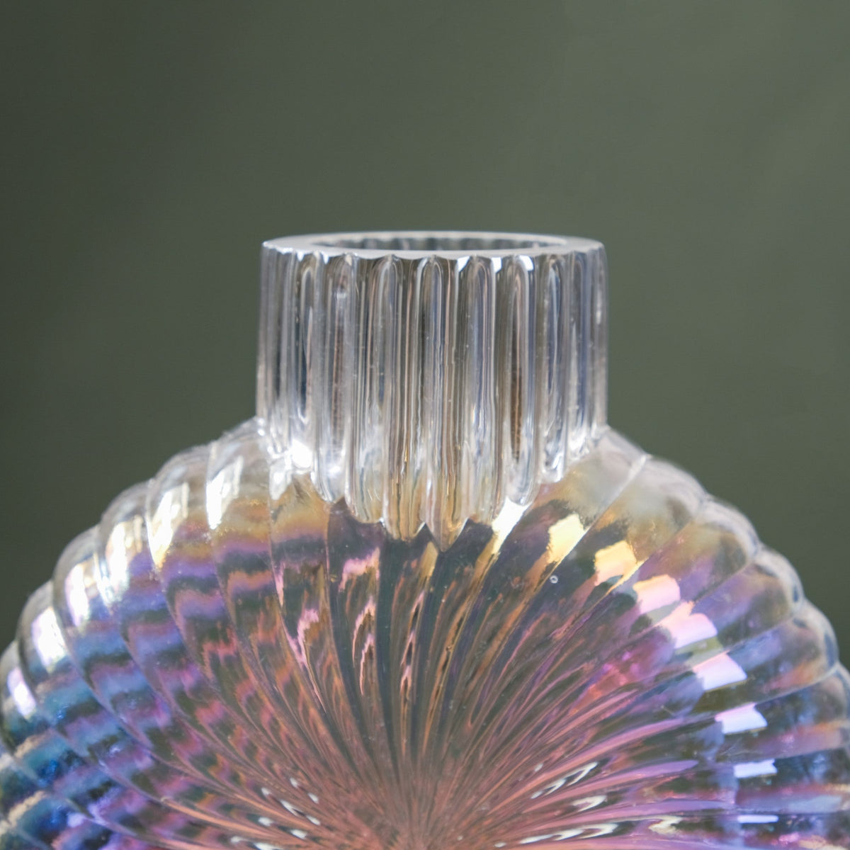 Shimmer Shell Design Glass Vase Small Nestasia