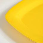 Colourful Trays Nestasia