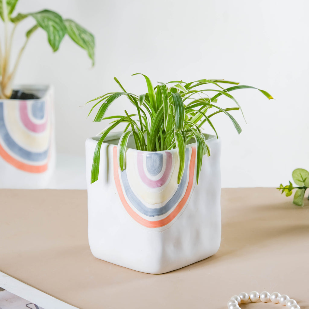Rainbow Square Pot Small Nestasia