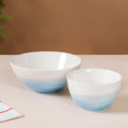 Ombre Bowl Blue Nestasia