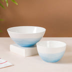 Ombre Bowl Blue Nestasia