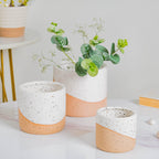 Bicolour Plant Pot Set of 3 Nestasia