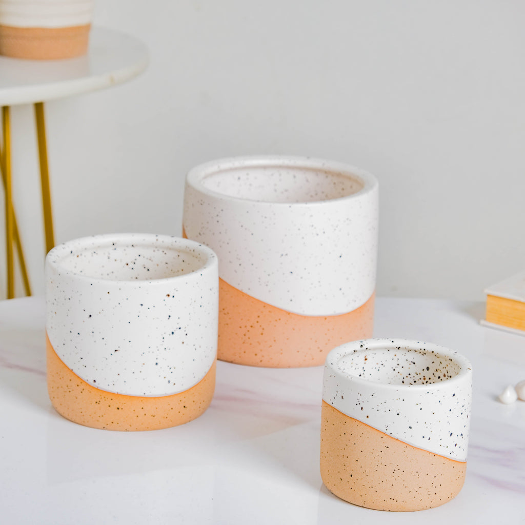 Bicolour Plant Pot Set of 3 Nestasia