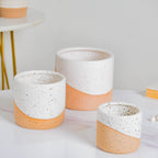 Bicolour Plant Pot Set of 3 Nestasia