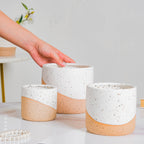 Bicolour Plant Pot Set of 3 Nestasia