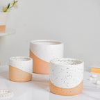 Bicolour Plant Pot Set of 3 Nestasia