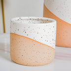 Bicolour Plant Pot Set of 3 Nestasia