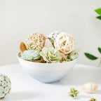 Organic Dried Flower Potpourri Green Nestasia