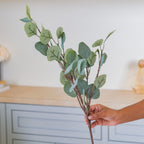 Decorative Leaf Stem Nestasia