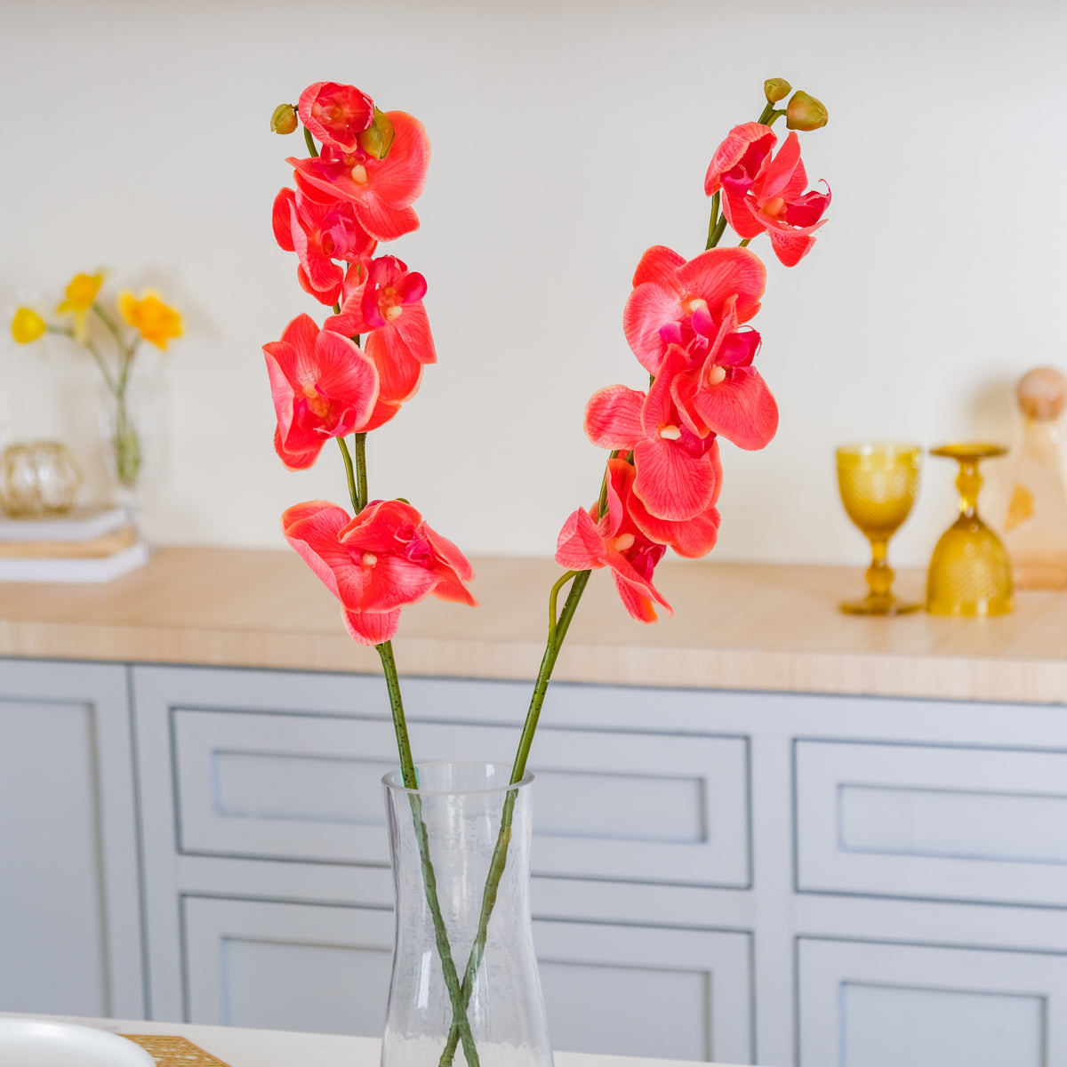 Moth Orchid Flower Nestasia