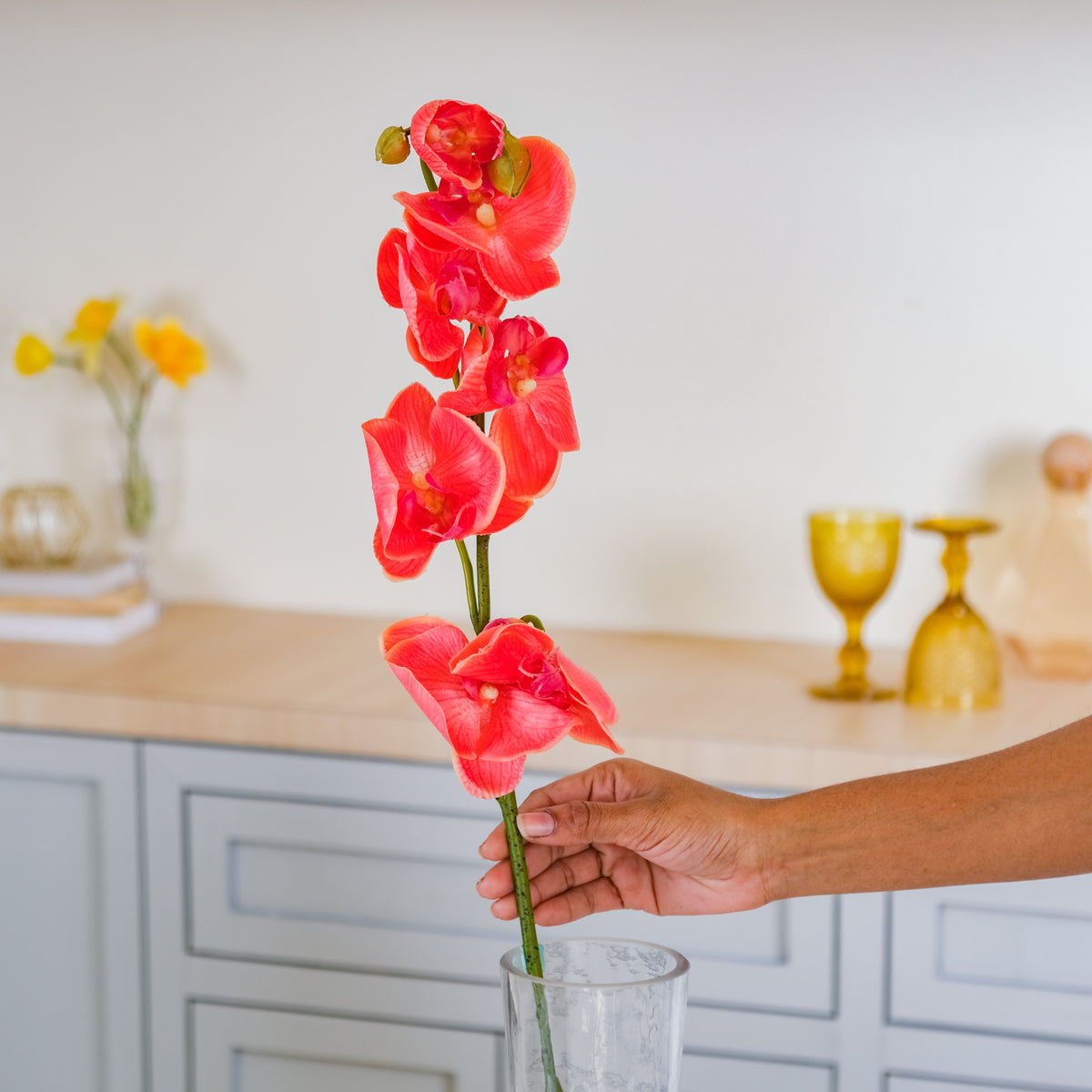 Moth Orchid Flower Nestasia