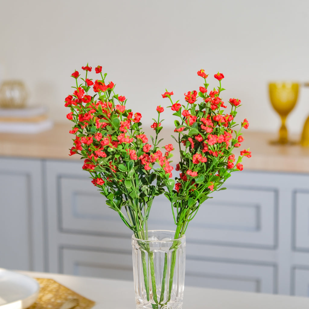 Gypsophila Flower Nestasia