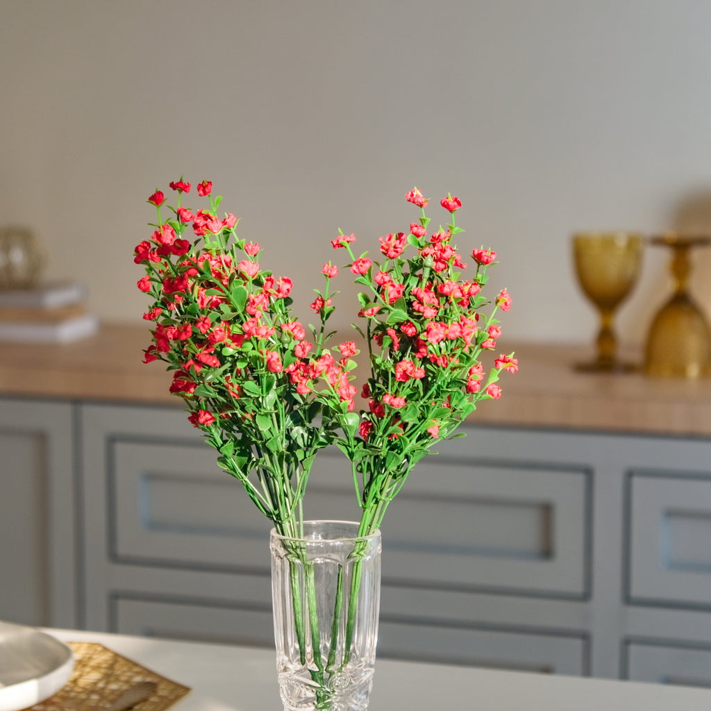 Gypsophila Flower Nestasia