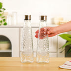 Glass Bottle With Stainless Steel Lid Set Of 2 750ml Nestasia