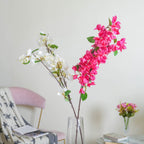 Bougainvillea Flower Nestasia