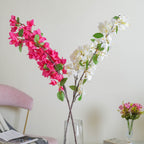 Bougainvillea Flower Nestasia